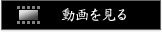 動画を見る